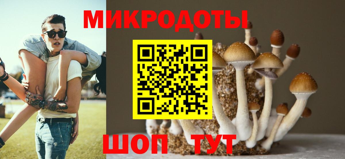 Малоярославец  Галлюциногенные грибы мухоморы  Вход с VPN 
